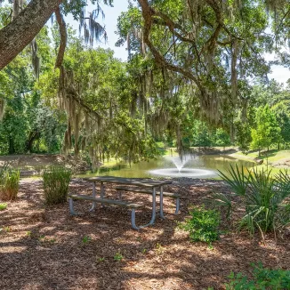 picnic area